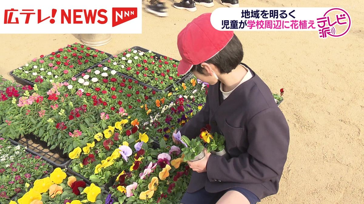 地域を明るく元気に　児童が学校周辺に花植え　広島市