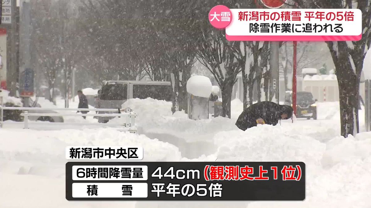 新潟市の積雪、平年の5倍に　交通機関に影響…住民は除雪作業に追われる