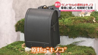 キノコが原料の素材でランドセル 環境に優しく供給も安定