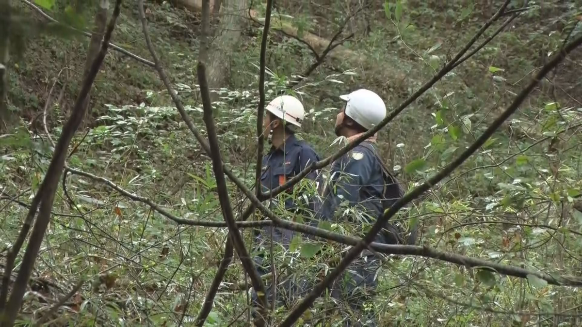 佐久市の山林内で仲間とキノコ採りをしていた群馬の62歳男性が行方不明　警察や消防などが30人体制で捜索【長野】