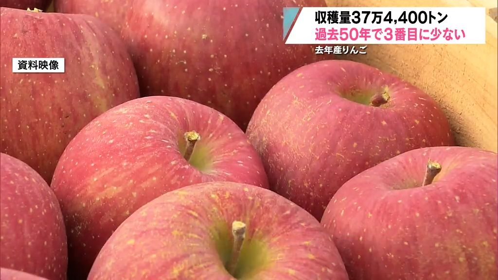 生産量日本一の青森りんご　夏場の高温が影響し2023年産は過去3番目に少ない収穫量