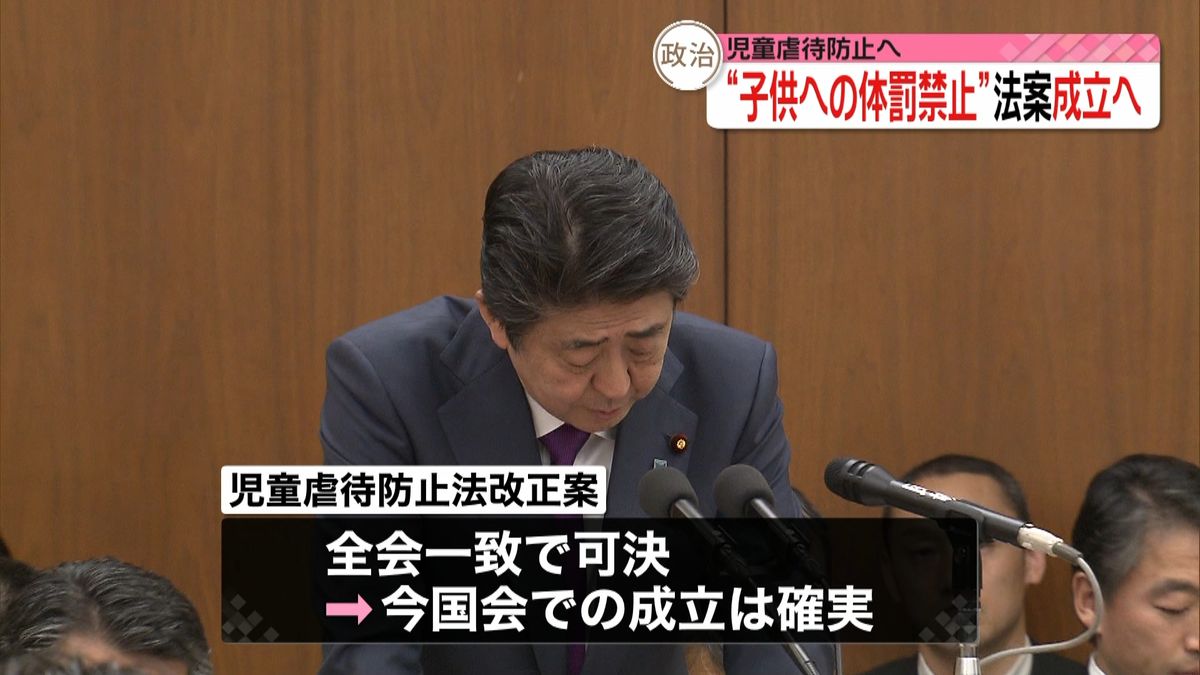 児童虐待防止のための法案　全会一致で可決