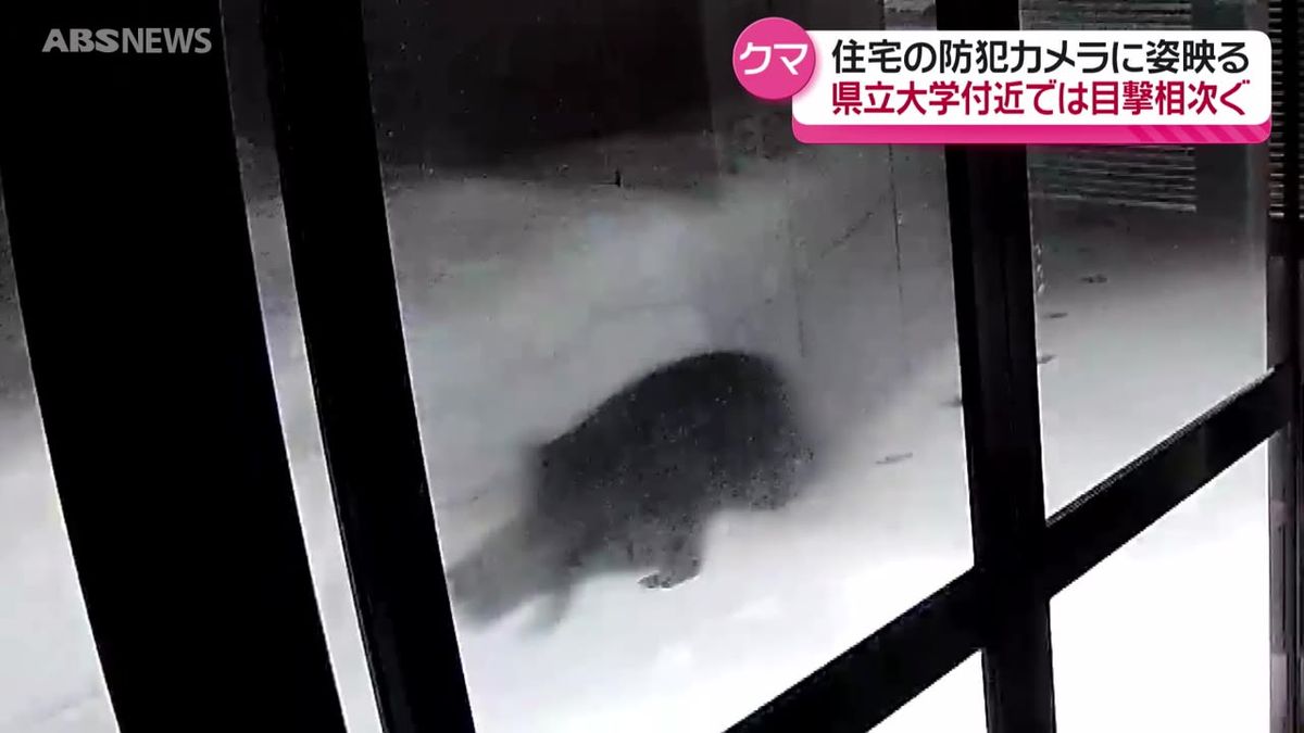 住宅前を横切る姿がはっきりと…秋田県内でクマの出没相次ぐ　大学の敷地内でも目撃　外出の際は注意を