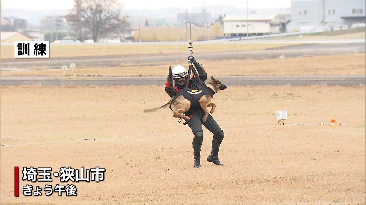 警備犬を使った捜索救助訓練　埼玉県警