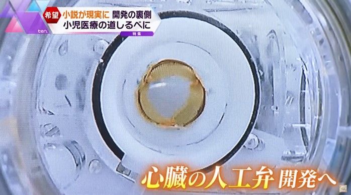 次の目標は心臓の人工弁