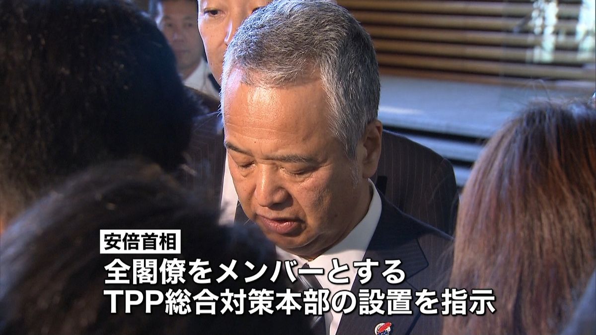 農業対策など…ＴＰＰ総合対策本部設置へ