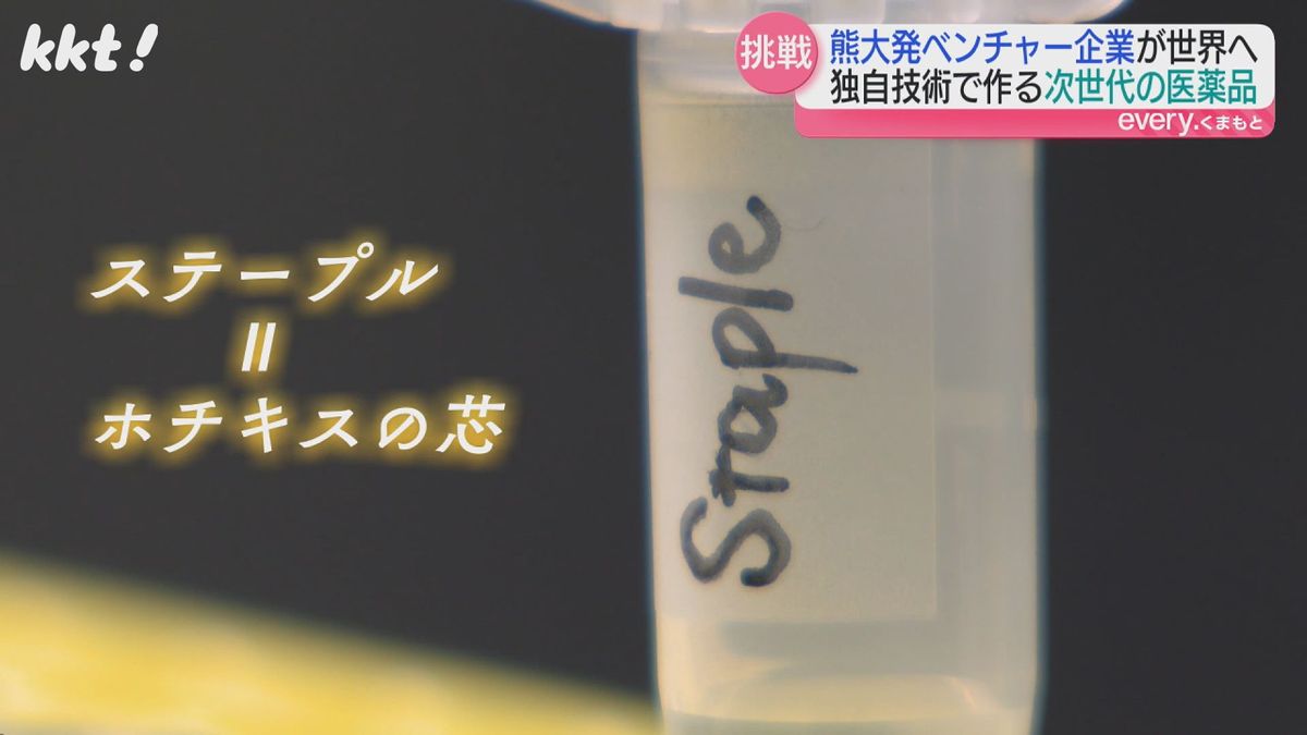 ステープルとはホチキスの芯という意味