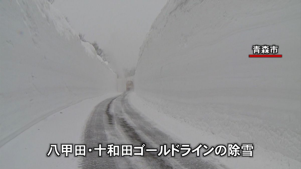 真っ白で迫力ある回廊に…除雪作業が本格化