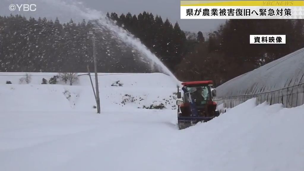 大雪の農業被害相次ぐ山形県内　県が復旧や除雪の費用補助など緊急対策実施