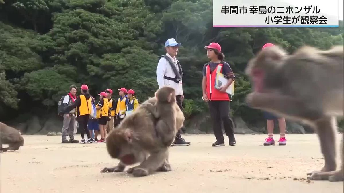 串間市幸島のニホンザル　地元の小学生が観察会