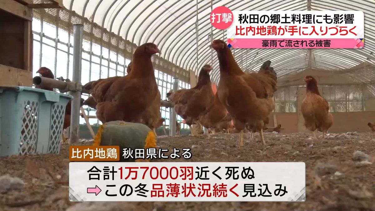 物価高が鍋料理を直撃　秋田の郷土料理「きりたんぽ鍋」は｢比内地鶏｣が品薄で​…