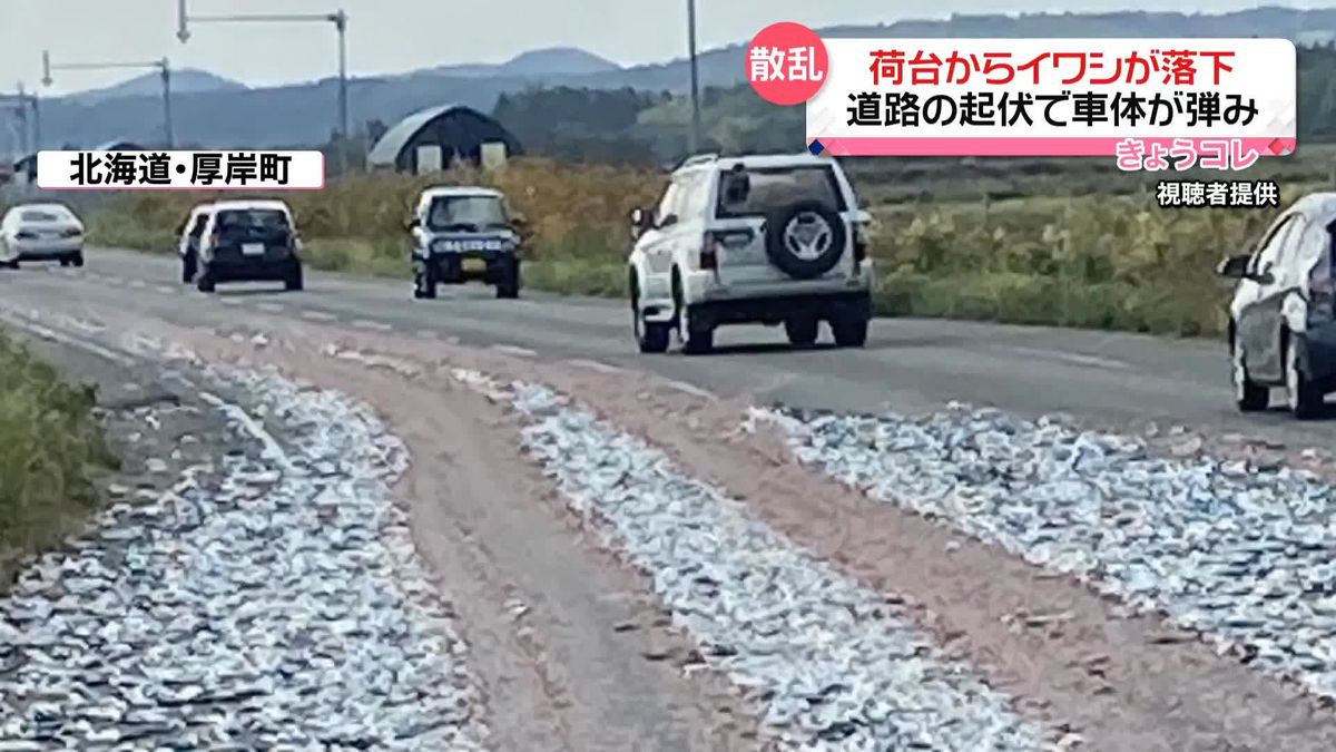 国道にイワシ散乱　トラック運転手“起伏で車体が弾んだ瞬間に荷台から落ちた”　北海道・厚岸町