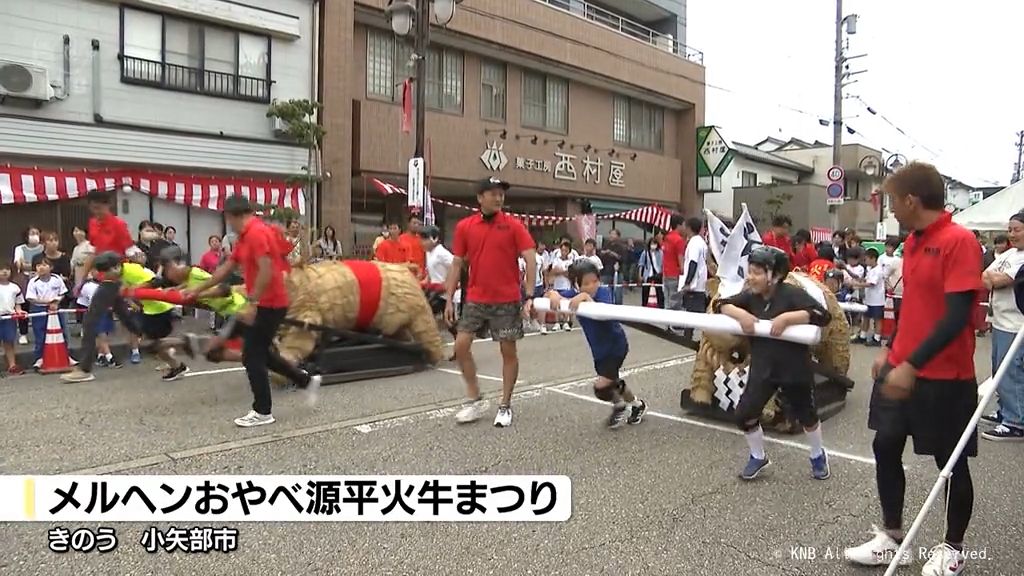 最後の開催　源平火牛まつり