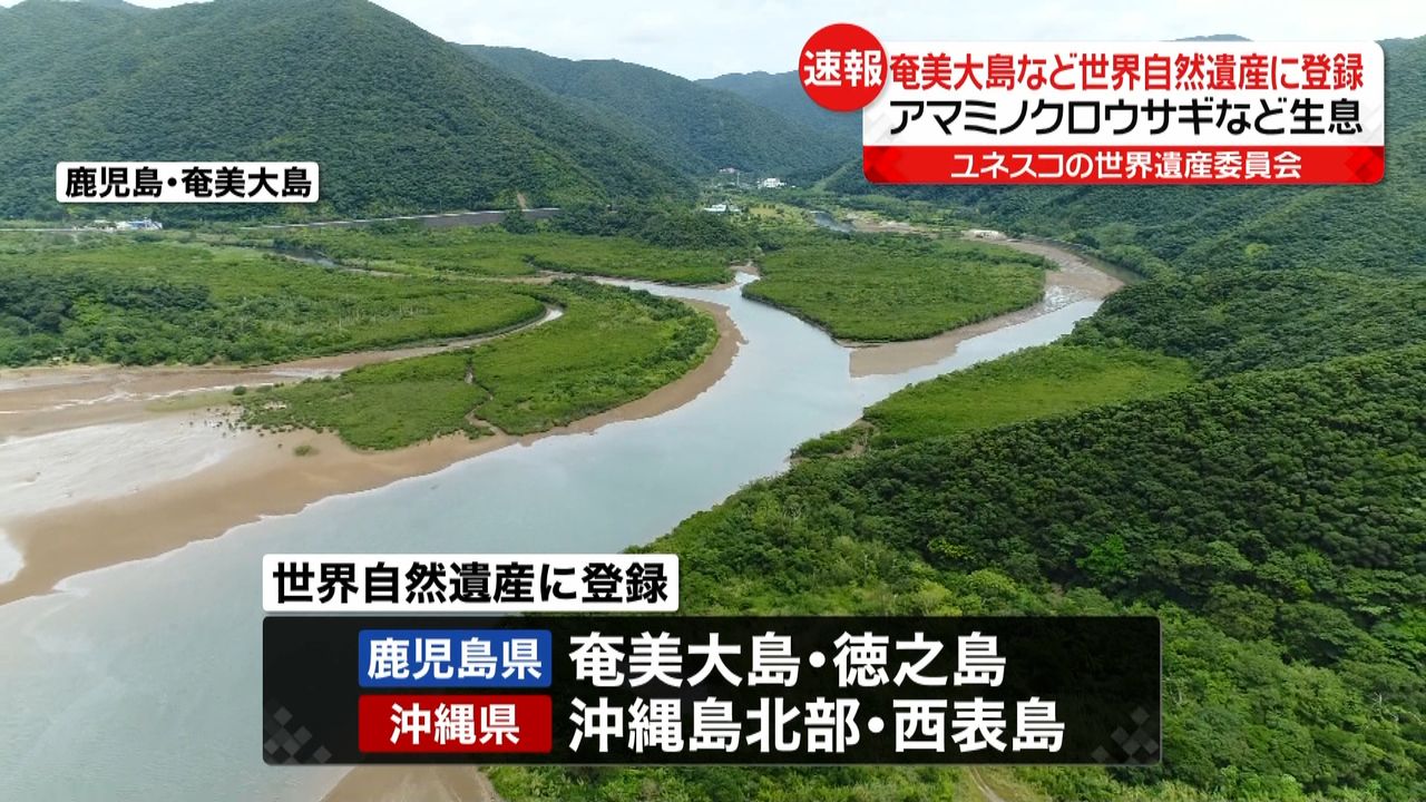 奄美大島など 世界自然遺産に登録を決定｜日テレNEWS NNN