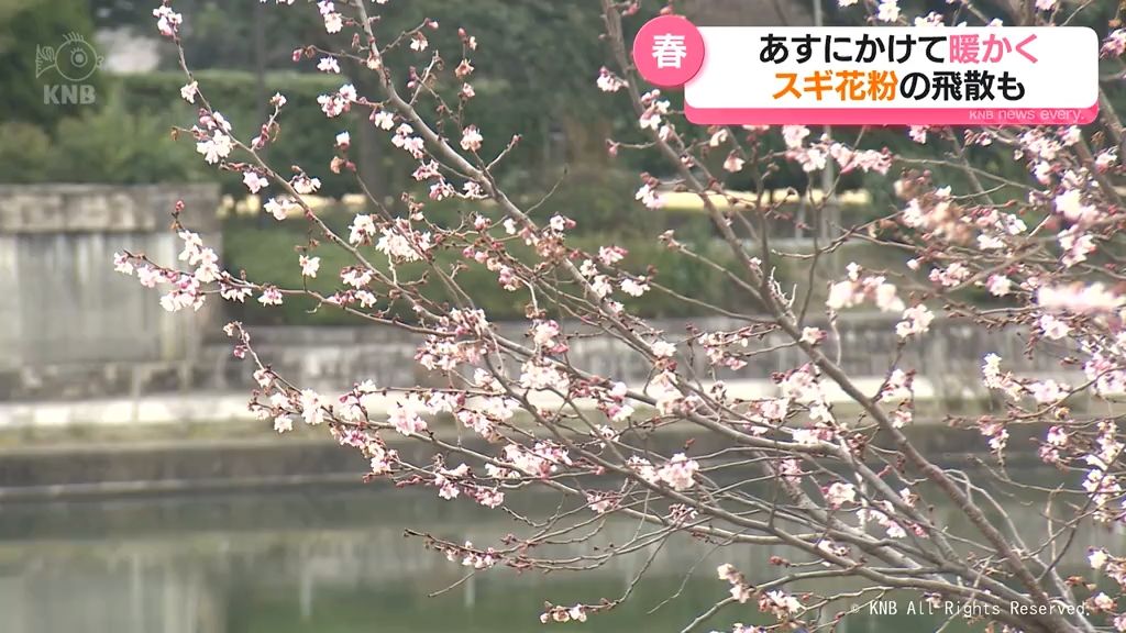 【春】あすにかけてさらに暖かく　スギ花粉の飛散も