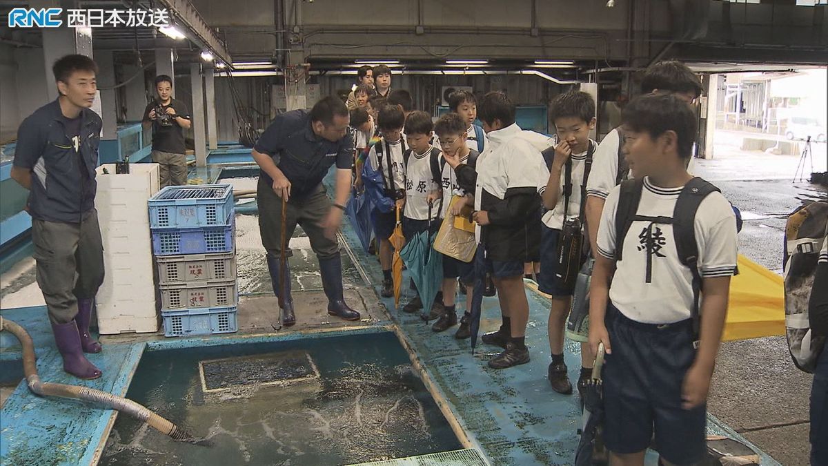 小学生が魚市場を見学　地元の水産業を学ぶ