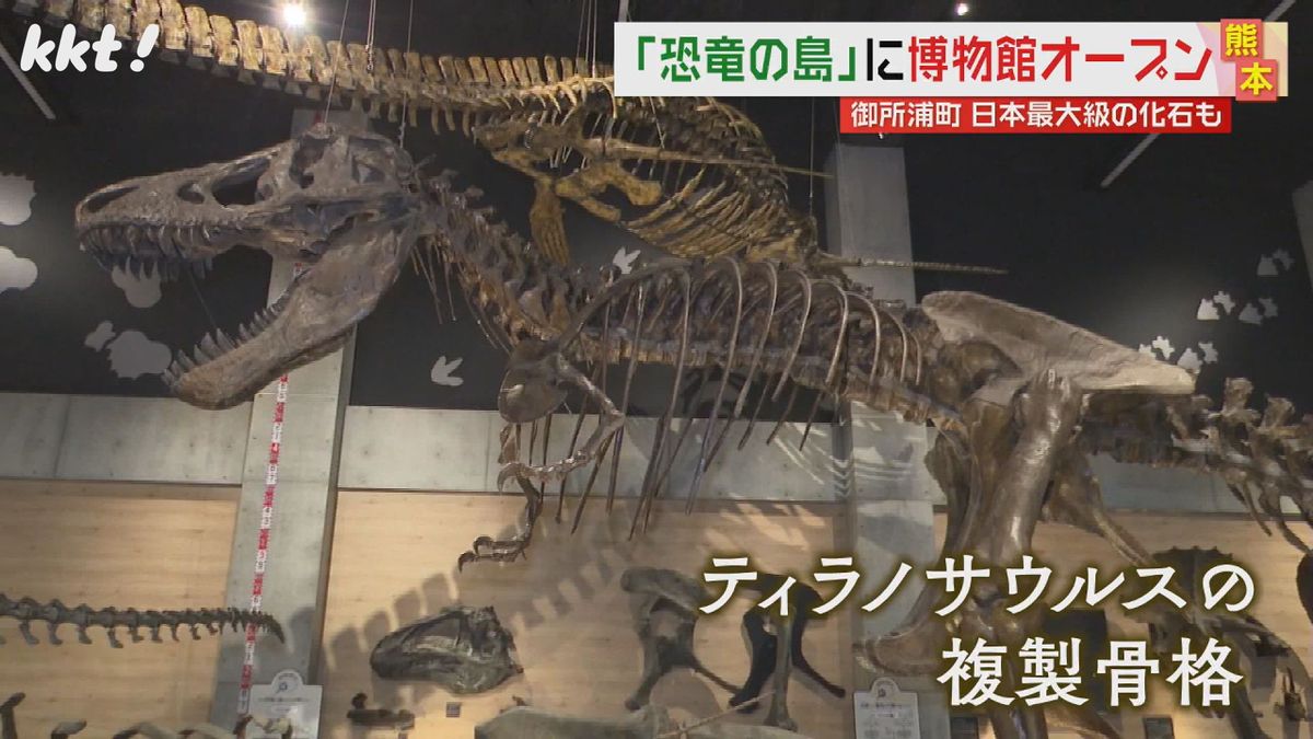 等身大ティラノ複製骨格など約2000点展示｢御所浦恐竜の島博物館｣オープン
