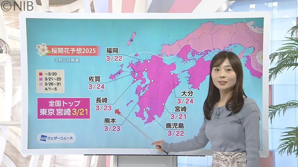 【天気】最新「サクラの開花予想」長崎は23日に　全国トップは東京と宮崎で21日か《長崎》