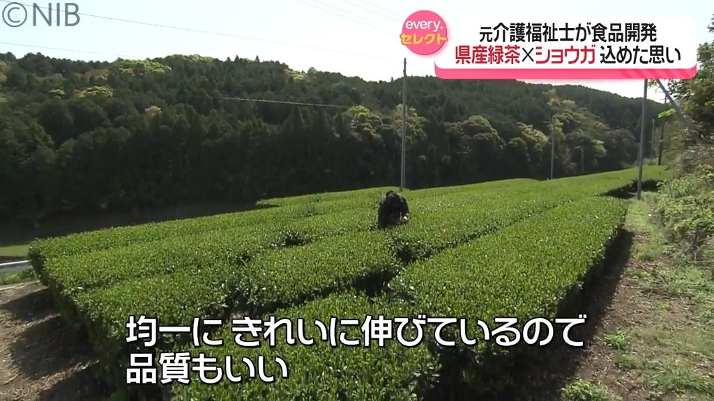 長田製茶の茶畑