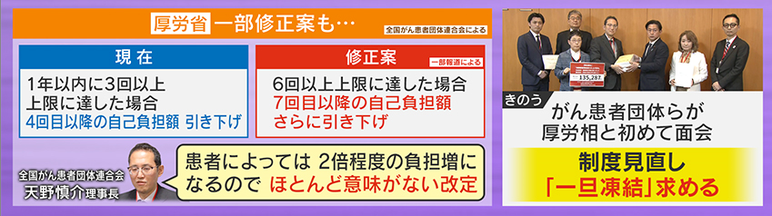 一部修正案も「ほとんど意味がない改定」