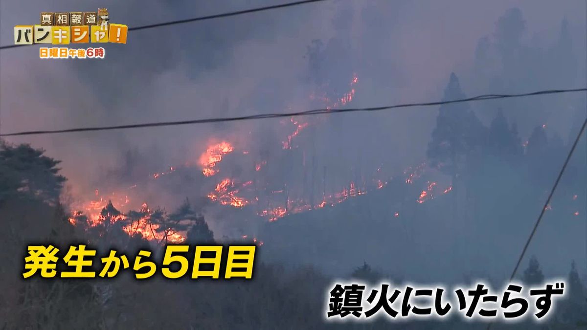 大船渡・山林火災　平成以降“国内最大”に…震災経験の住民　迫る火の手にまた避難【バンキシャ！】