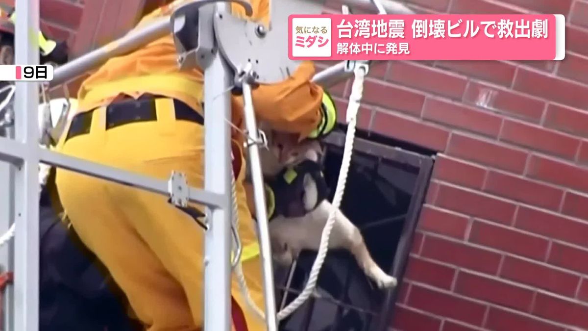 台湾地震　倒壊ビルでネコを救出　解体中に発見　救助隊が缶詰でおびき寄せ…