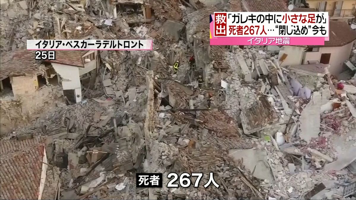 伊・地震で死者２６７人に　文化遺産も被害