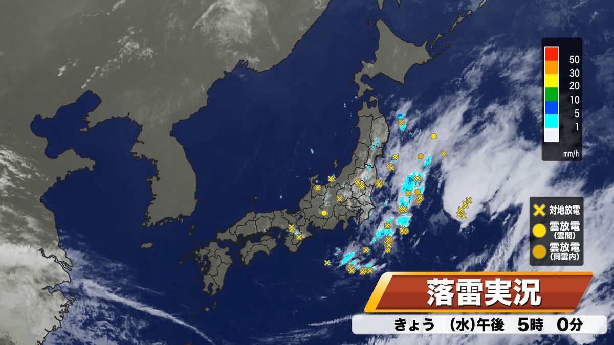 25日(水)の雨雲・発雷の様子