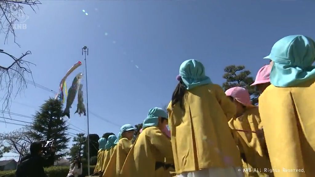 元気に泳げ　滑川で園児がこいのぼり掲揚