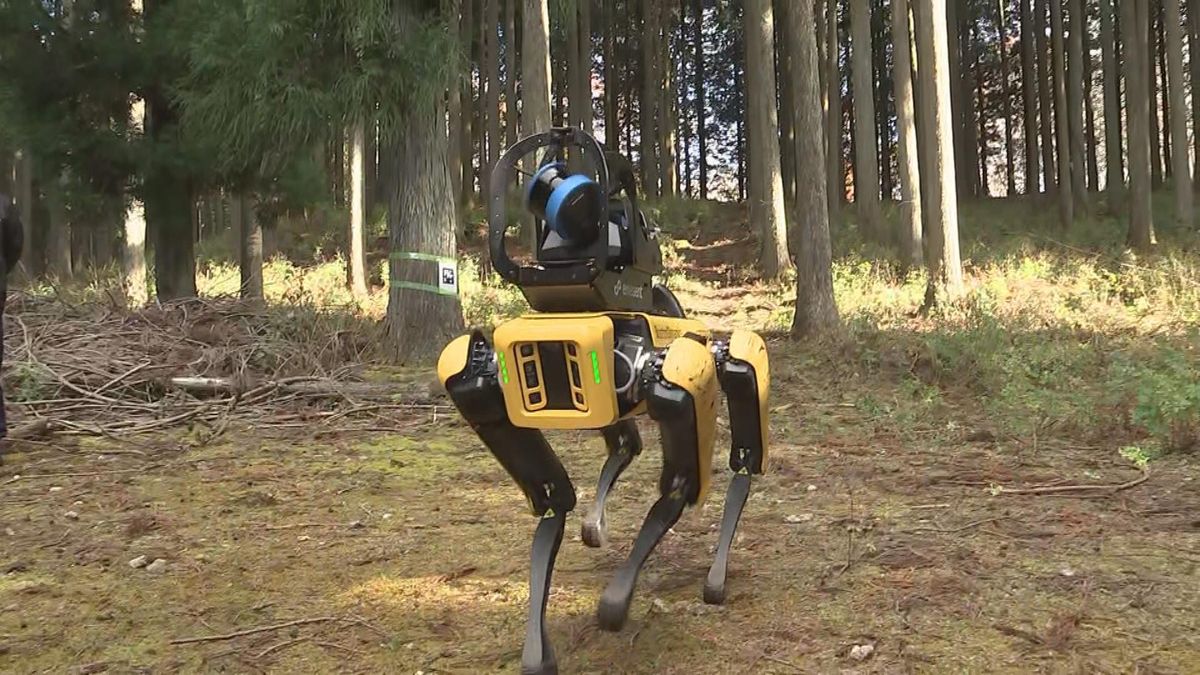 湯布院の森に「四足歩行ロボット」現る　林業の担い手不足解消へ実証実験　大分