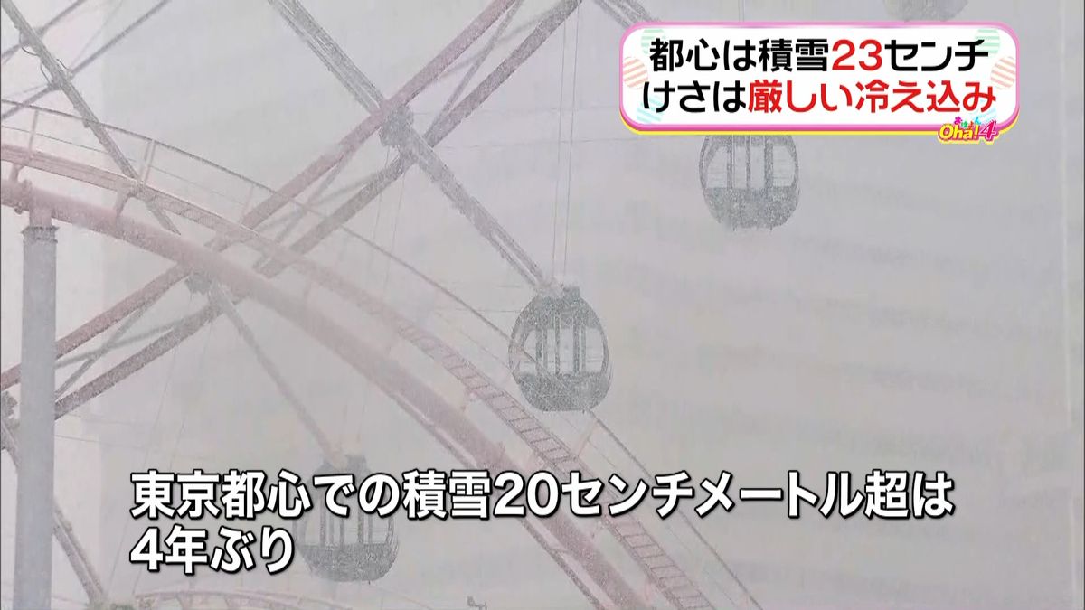 東京都心で積雪２３センチ　４年ぶりの大雪