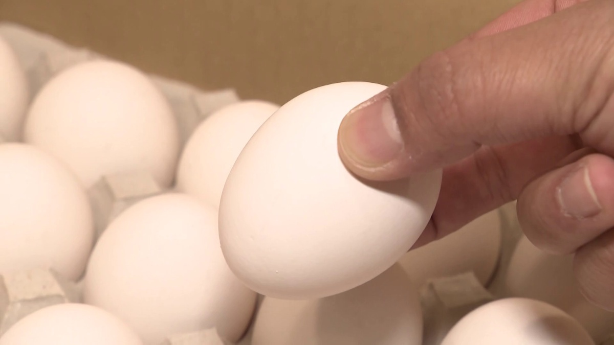 卵が価格高騰の可能性も!?   “鳥インフルエンザ再来”に警戒、養鶏場「徹底的な感染対策で鶏を守る」