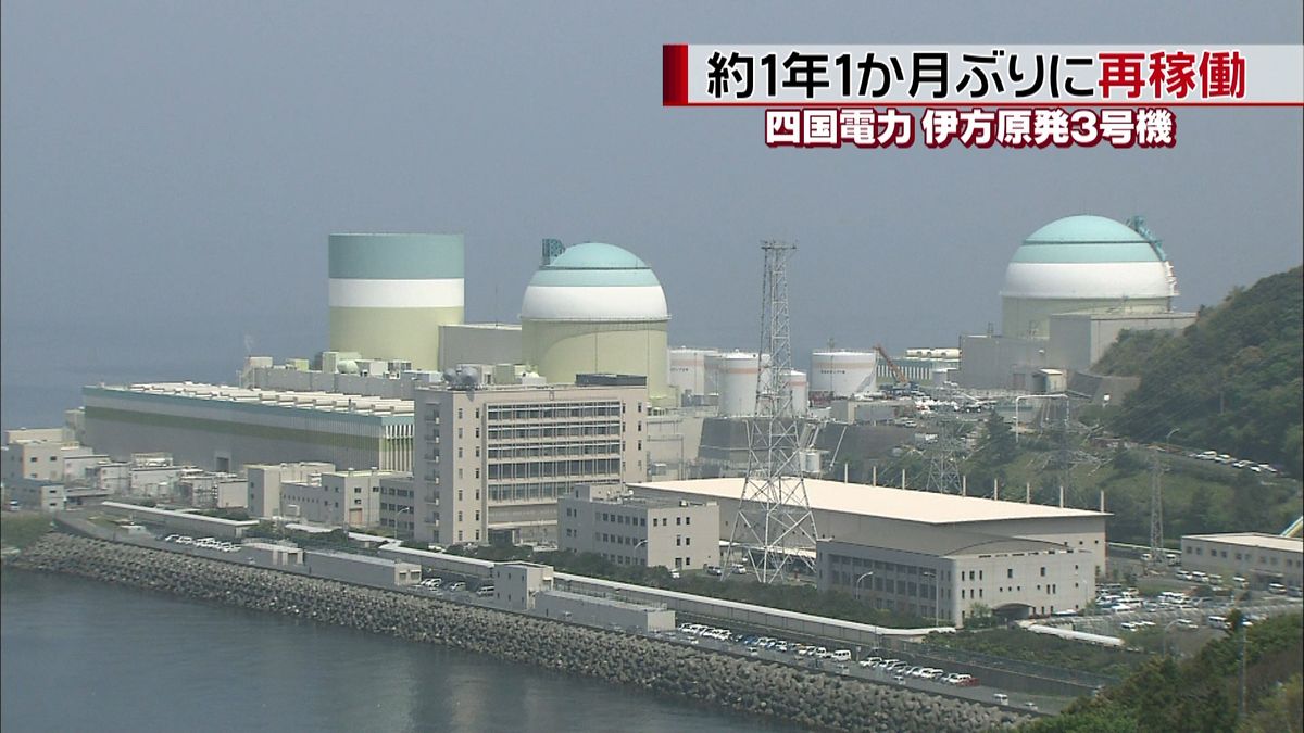 伊方原発３号機　約１年１か月ぶりに再稼働