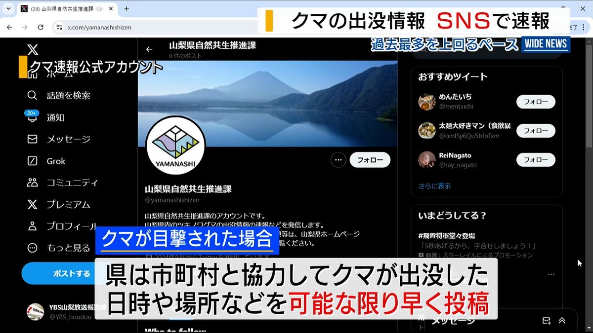 「可能な限り早く」クマの出没情報をＳＮＳで速報 目撃件数は過去最多ペース 山梨県