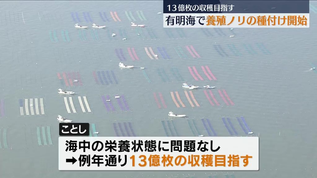 有明海で養殖ノリの種付け開始 13億枚の収穫目指す