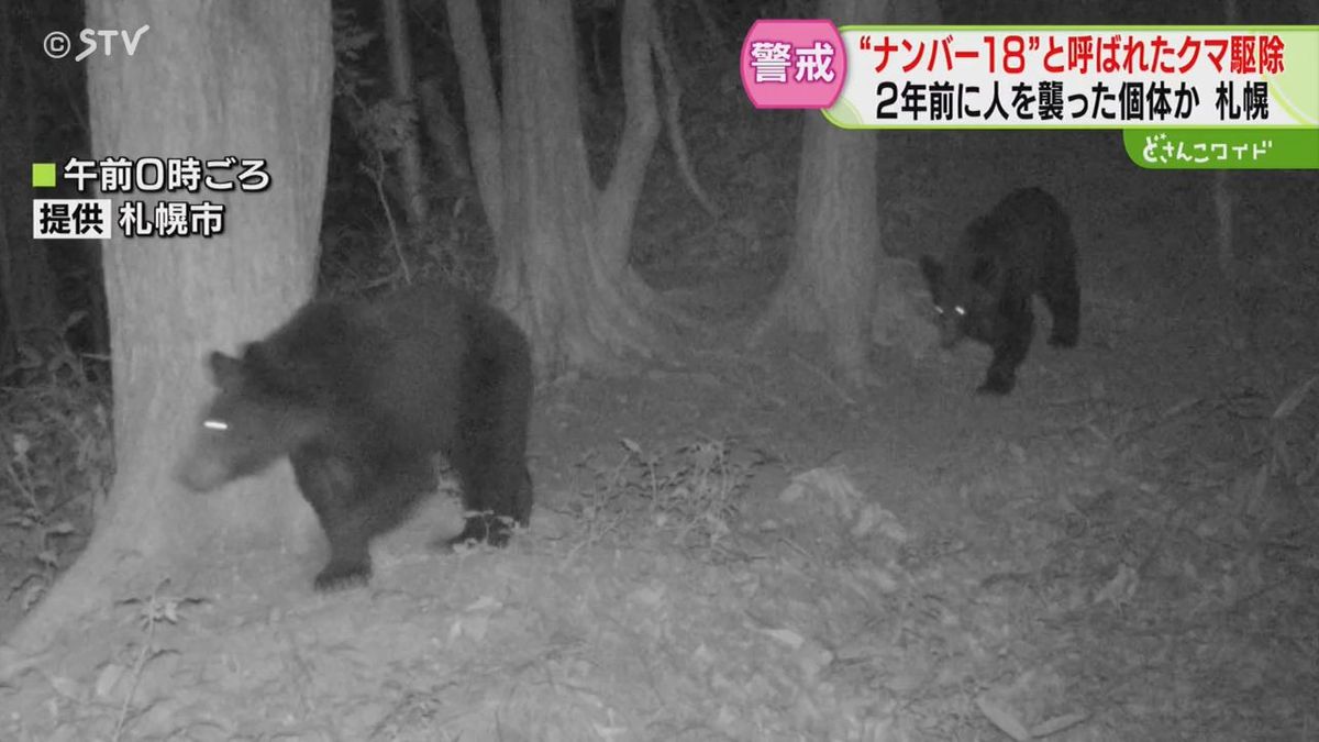 コードネーム「ナンバー18」　出没繰り返したクマ駆除　専門家「問題起こしやすい個体」　札幌