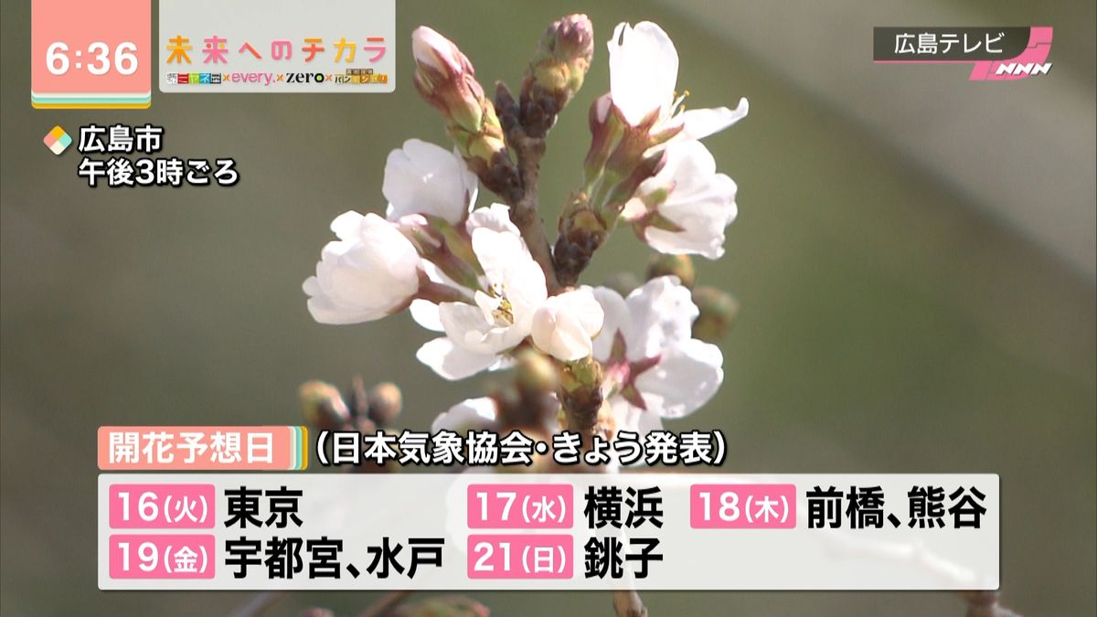 【天気】広島で桜開花…あす西で激しい雨も