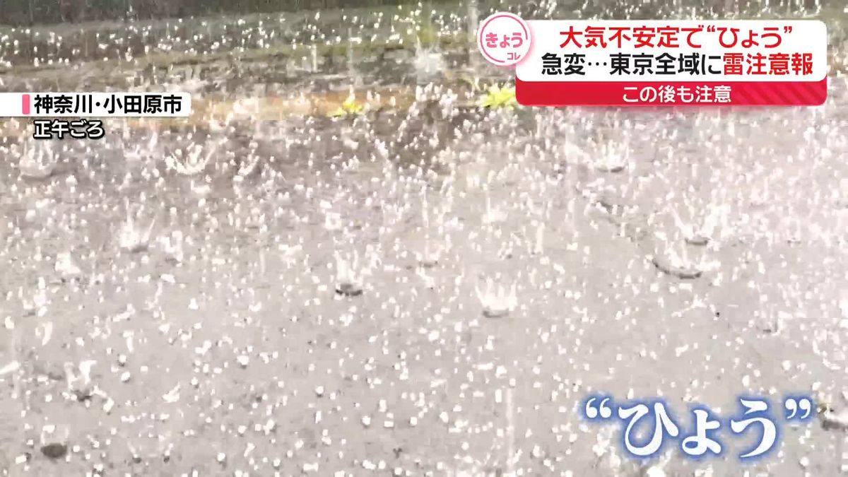 大気不安定で関東に“ひょう”　東京全域に雷注意報