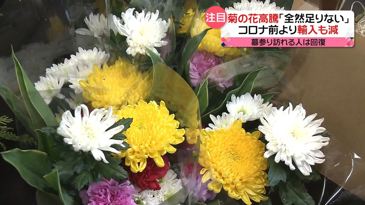 秋のお彼岸　お墓参りに使用…「菊の花」価格高騰　なぜ？