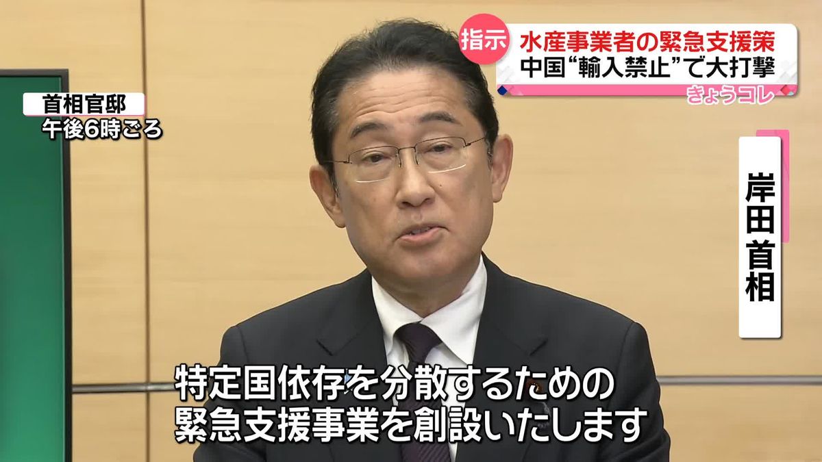 岸田首相、水産事業者への緊急支援策を指示　中国の“輸入禁止措置”受け