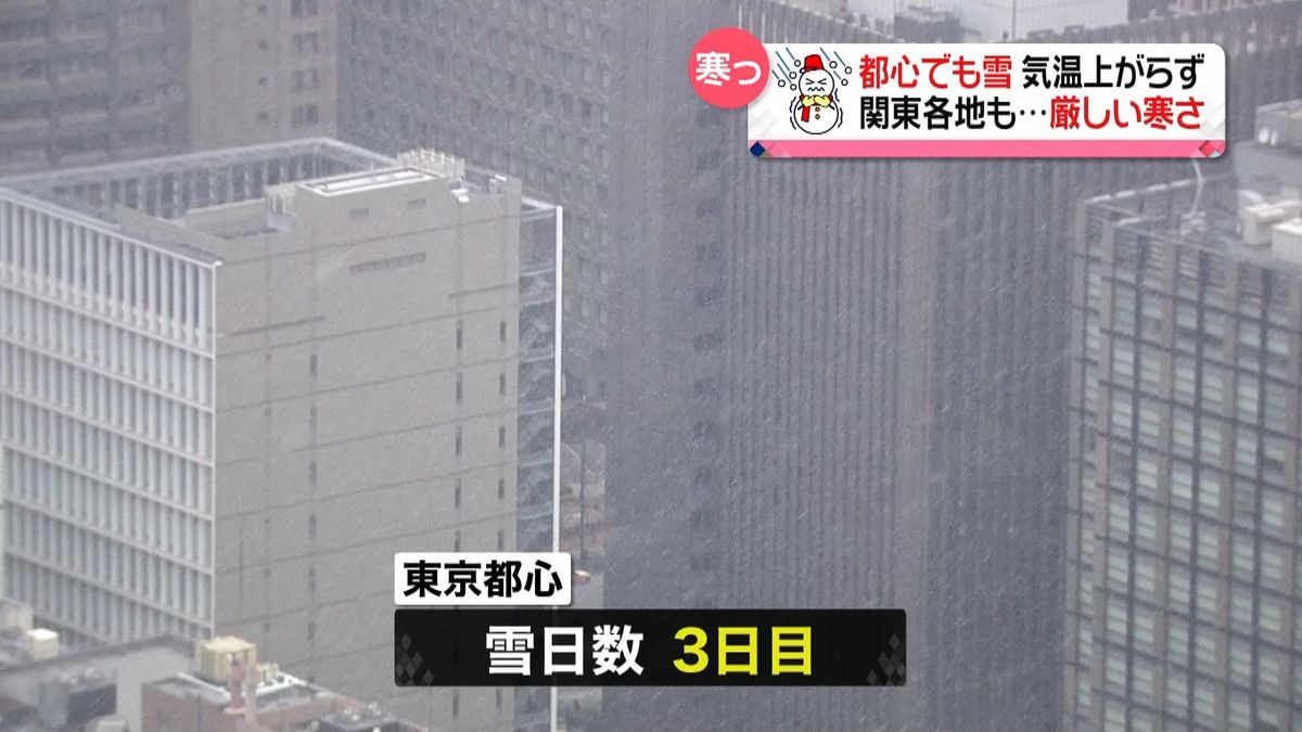 強い寒気　関東地方は凍える寒さ…都心で雪