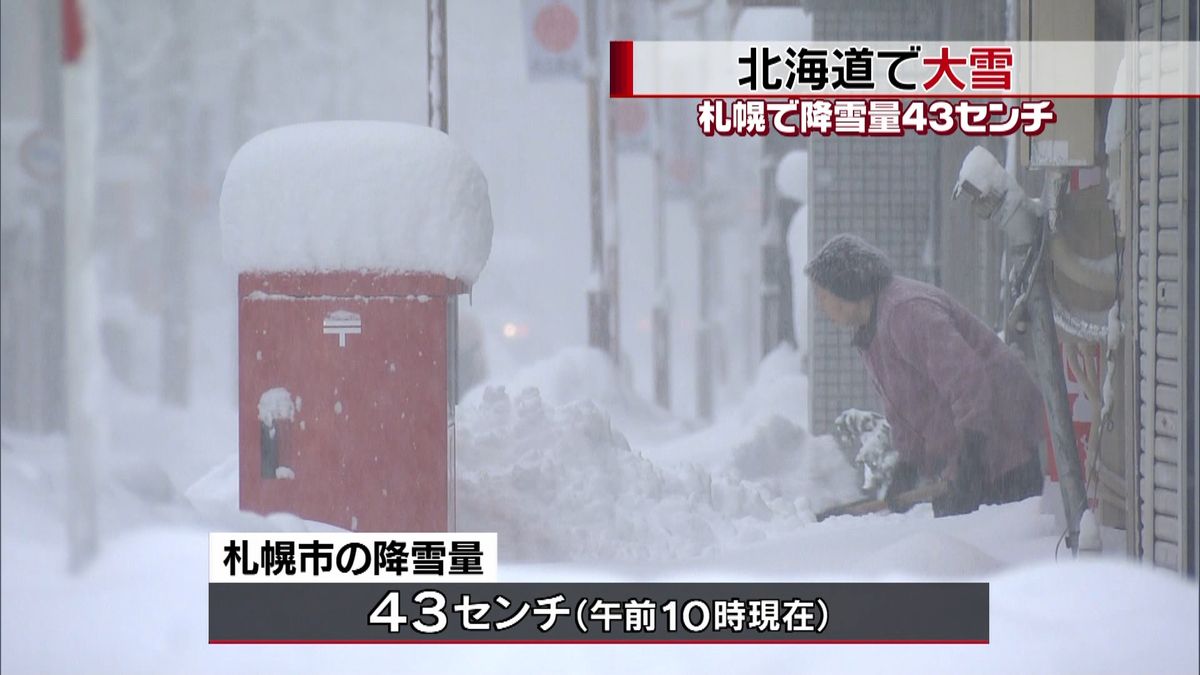 北海道で大雪　交通機関に運休相次ぐ