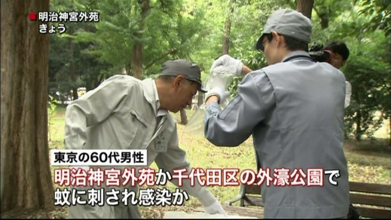 デング熱　明治神宮外苑か外濠公園で感染か