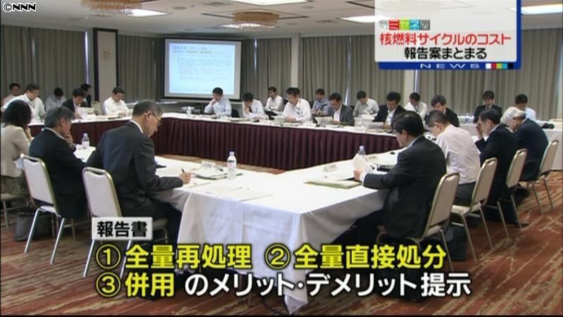 使用済み核燃料、直接処分が最も経済的