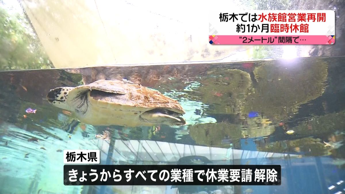 約１か月臨時休館の水族館が営業再開　栃木