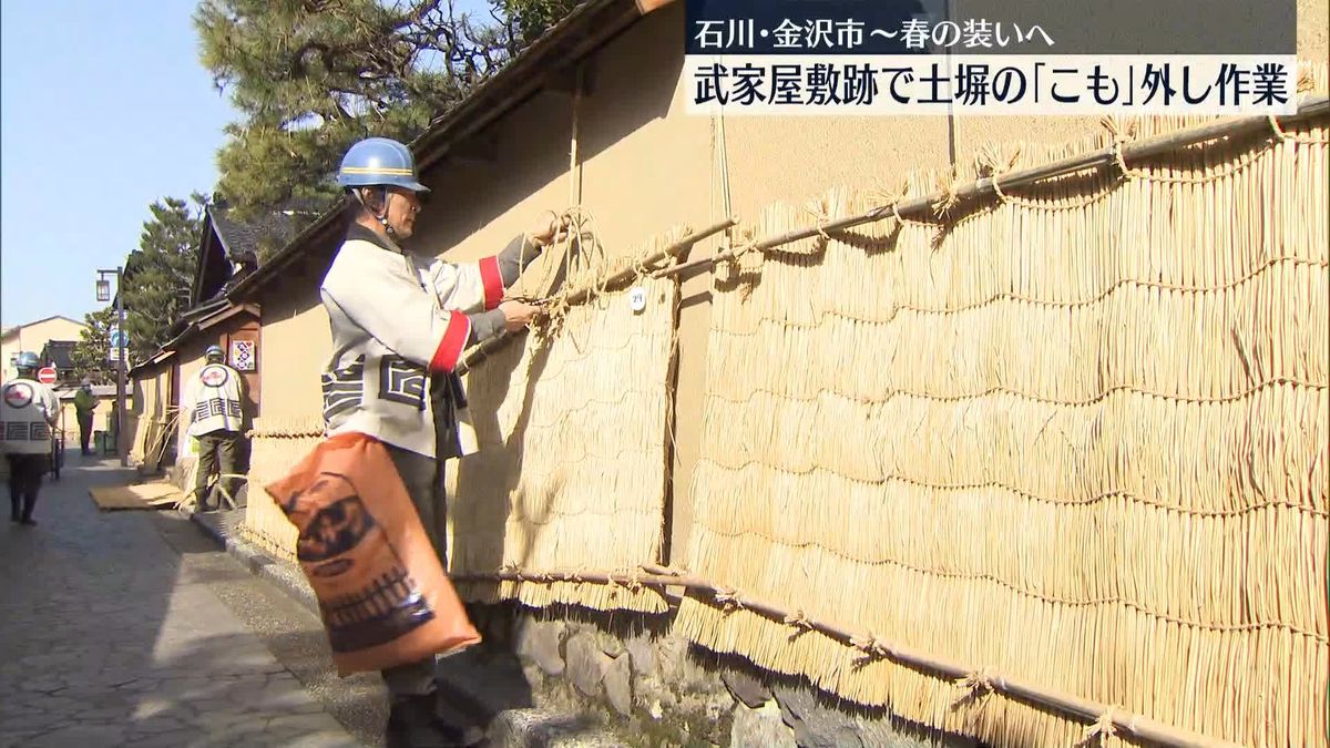 武家屋敷跡で土塀の「こも」外し作業　春の装いへ　石川・金沢市