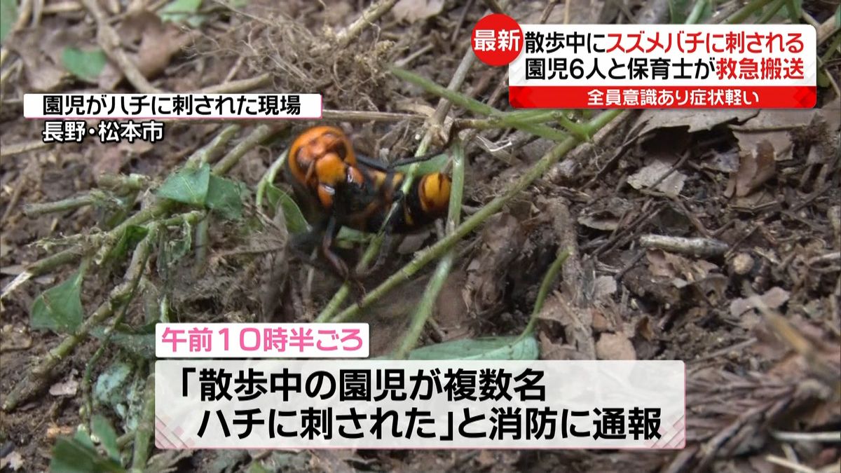 園児ら７人がスズメバチに刺され搬送　長野