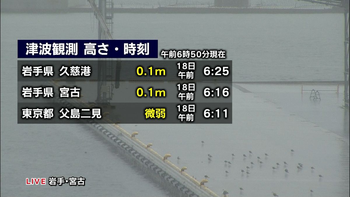 岩手・久慈港で０．１ｍの津波を観測