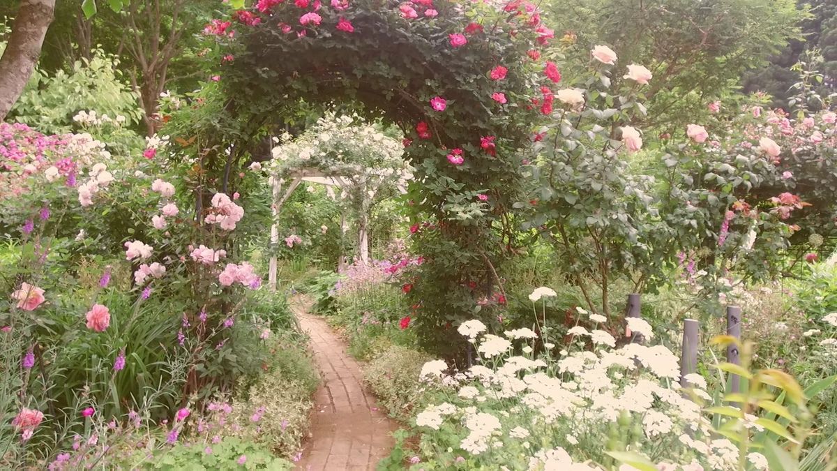 25年前に開墾し1000坪を庭造り　西蔵王の「まんさくの庭」一般公開は今年が最後