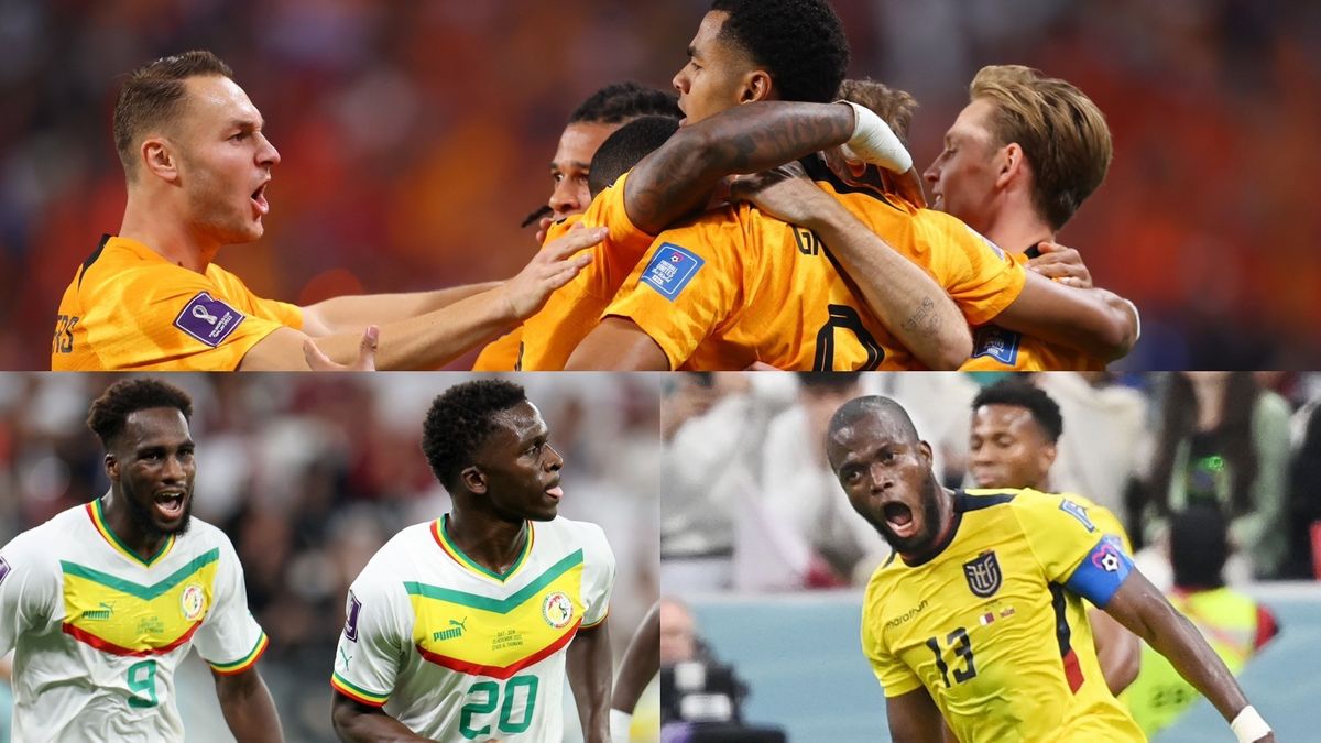 【W杯グループA】オランダが突破に優位 最終戦でエクアドルとセネガルの直接対決